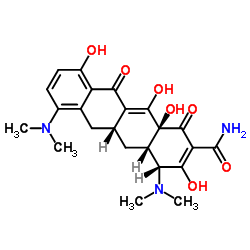 4表米诺环素