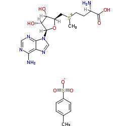 s腺苷甲硫氨酸对甲苯磺酸盐