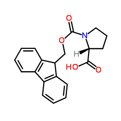 Fmoc-D-proline CAS:101555-62-8 manufacturer & supplier