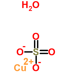 Copper sulfate monohydrate CAS:10257-54-2 manufacturer & supplier