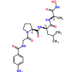 4-Aminobenzoyl-Gly-Pro-D-Leu-D-Ala hydroxamic acid CAS:124168-73-6 manufacturer & supplier