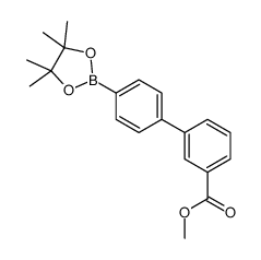 methyl 3-[4-(4,4,5,5-tetramethyl-1,3,2-dioxaborolan-2-yl)phenyl]benzoate CAS:1256358-85-6 manufacturer & supplier