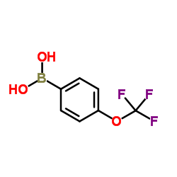 4-Trifluoromethoxyphenylboronic acid CAS:139301-27-2 manufacturer & supplier