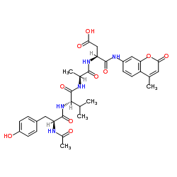 3-[2-[[2-[[2-acetamido-3-(4-hydroxyphenyl)propanoyl]amino]-3-methylbutanoyl]amino]propanoylamino]-4-[(4-methyl-2-oxochromen-7-yl)amino]-4-oxobutanoic acid CAS:149231-65-2 manufacturer & supplier