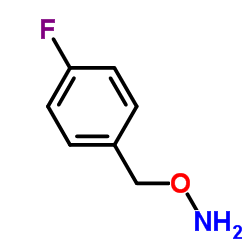 O-[(4-fluorophenyl)methyl]hydroxylamine CAS:1782-40-7 manufacturer & supplier