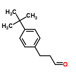 3-(4-tert-butylphenyl)propanal CAS:18127-01-0 manufacturer & supplier