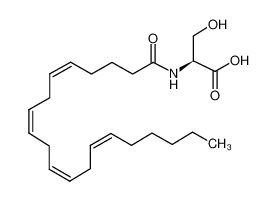 (2S)-3-hydroxy-2-(icosa-5,8,11,14-tetraenoylamino)propanoic acid CAS:187224-29-9 manufacturer & supplier