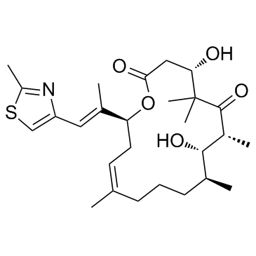 epothilone D CAS:189453-10-9 manufacturer & supplier