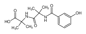 2-[2-(3-Hydroxy-benzoylamino)-2-methyl-propionylamino]-2-methyl-propionic acid CAS:192046-62-1 manufacturer & supplier