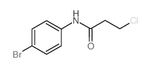 N-(4-Bromophenyl)-3-chloropropanamide CAS:19205-70-0 manufacturer & supplier