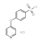 4-pyridin-4-yloxybenzenesulfonyl chloride,hydrochloride CAS:192330-49-7 manufacturer & supplier