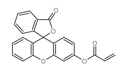 (6'-hydroxy-3-oxospiro[2-benzofuran-1,9'-xanthene]-3'-yl) prop-2-enoate CAS:193419-86-2 manufacturer & supplier