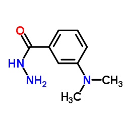 4-(dimethylamino)benzohydrazide CAS:19353-92-5 manufacturer & supplier