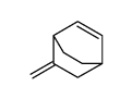 5-methylidenebicyclo[2.2.2]oct-2-ene CAS:19386-05-1 manufacturer & supplier