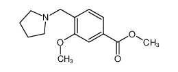 Methyl 3-methoxy-4-(pyrrolidin-1-ylmethyl)benzoate CAS:193964-75-9 manufacturer & supplier