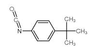 1-tert-butyl-4-isocyanatobenzene CAS:1943-67-5 manufacturer & supplier