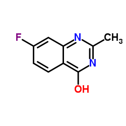 7-fluoro-2-methyl-1H-quinazolin-4-one CAS:194473-03-5 manufacturer & supplier