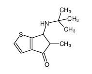 6-(tert-butylamino)-5-methyl-5,6-dihydro-4H-cyclopenta[b]thiophen-4-one CAS:195004-73-0 manufacturer & supplier