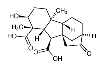 [17-14C1]GA14 CAS:19512-45-9 manufacturer & supplier