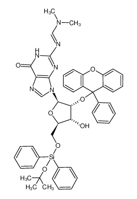 2-N-dimethylaminomethylidene-2'-O-(9-phenylxanthen-9-yl)-5'-O-(tert-butoxydiphenylsilyl)guanosine CAS:195247-52-0 manufacturer & supplier