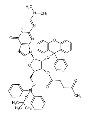 2-N-dimethylaminomethylidene-2'-O-(9-phenylxanthen-9-yl)-3'-laevulinyl-5'-O-(tert-butoxydiphenylsilyl)guanosine CAS:195247-53-1 manufacturer & supplier