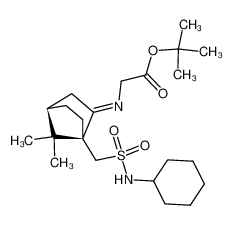 [(1S,4R)-1-Cyclohexylsulfamoylmethyl-7,7-dimethyl-bicyclo[2.2.1]hept-(2E)-ylideneamino]-acetic acid tert-butyl ester CAS:195257-35-3 manufacturer & supplier