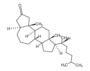 5.10-Seco-4.10-cyclo-6α-cholestan-2-on CAS:19549-04-3 manufacturer & supplier