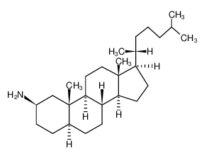 5α-cholestan-2β-ylamine CAS:19586-41-5 manufacturer & supplier