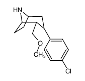 (2R,3R)-3-(4-chlorophenyl)-2-(methoxymethyl)-8-azabicyclo[3.2.1]octane CAS:195876-03-0 manufacturer & supplier