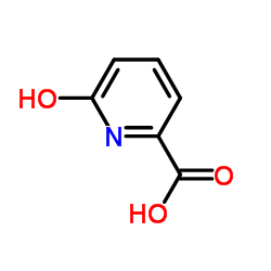 6-oxo-1H-pyridine-2-carboxylic acid CAS:19621-92-2 manufacturer & supplier