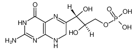 phosphoric acid mono-[3-(2-amino-4-oxo-3,4,7,8-tetrahydro-pteridin-6-yl)-2,3-dihydroxy-propyl] ester CAS:19622-42-5 manufacturer & supplier