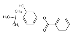 5-Benzoyloxy-2-tert.-butyl-phenol CAS:19652-23-4 manufacturer & supplier