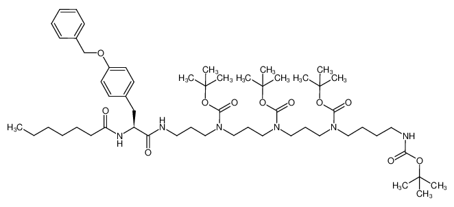 {4-[(3-{[3-({3-[(S)-3-(4-Benzyloxy-phenyl)-2-heptanoylamino-propionylamino]-propyl}-tert-butoxycarbonyl-amino)-propyl]-tert-butoxycarbonyl-amino}-propyl)-tert-butoxycarbonyl-amino]-butyl}-carbamic acid tert-butyl ester CAS:196704-22-0 manufa