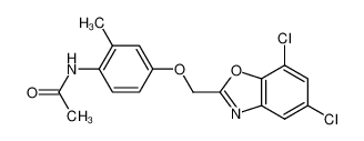 N-[4-(5,7-Dichlorobenzoxazol-2-ylmethoxy)-2-methylphenyl]acetamide CAS:197360-69-3 manufacturer & supplier