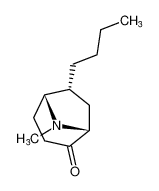 rel-(1R,5R,6R)-6-butyl-8-methyl-8-azabicyclo[3.2.1]octan-2-one CAS:197588-53-7 manufacturer & supplier