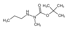 1-tert-butoxycarbonyl-1-methyl-2-propyl-hydrazine CAS:197635-06-6 manufacturer & supplier