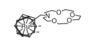 N-ruthenocenylmethyl-1,4,7,10-tetraoxa-13-azacyclopentadecane CAS:198883-28-2 manufacturer & supplier