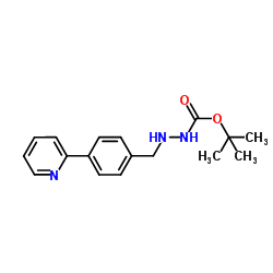 1-Boc-2-[4-(2-pyridinyl)benzylidene]hydrazine CAS:198904-85-7 manufacturer & supplier