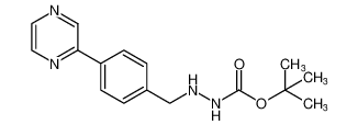 tert-butyl 2-(4-(pyrazin-2-yl)benzyl)hydrazine-1-carboxylate CAS:198904-93-7 manufacturer & supplier