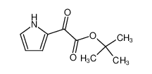 Oxo-(1H-pyrrol-2-yl)-acetic acid tert-butyl ester CAS:199169-76-1 manufacturer & supplier