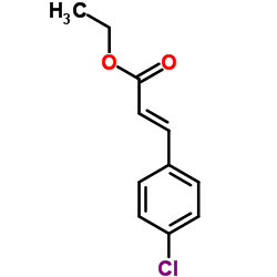 Ethyl 4-chlorocinnamate CAS:24393-52-0 manufacturer & supplier