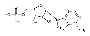 5'-Adenylic acid CAS:24937-83-5 manufacturer & supplier