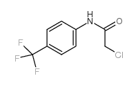 2-Chloro-N-[4-(trifluoromethyl)phenyl]acetamide CAS:2707-23-5 manufacturer & supplier