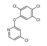 2-(2,4,5-Trichlorphenoxy)-4-chlorpyridin CAS:28373-69-5 manufacturer & supplier