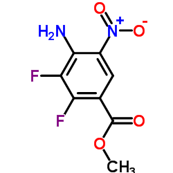 METHYL 4-AMINO-2,3-DIFLUORO-5-NITROBENZOATE CAS:284030-58-6 manufacturer & supplier