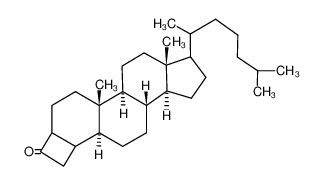 3β,4β-Dihydrocyclobuta(3,4)-5α-cholestan-4'(3'H)-on CAS:28415-06-7 manufacturer & supplier