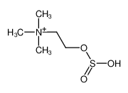 trimethyl(2-sulfinooxyethyl)azanium CAS:28427-24-9 manufacturer & supplier