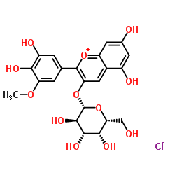 Petunidin 3-O-galactoside CAS:28500-02-9 manufacturer & supplier