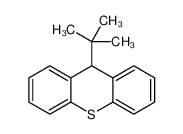 9-tert-butyl-9H-thioxanthene CAS:28612-40-0 manufacturer & supplier