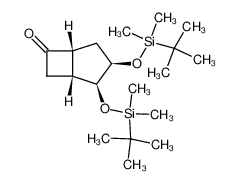 (1R,2S,3R,5R)-2,3-Bis-(tert-butyl-dimethyl-silanyloxy)-bicyclo[3.2.0]heptan-6-one CAS:286413-82-9 manufacturer & supplier